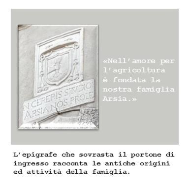 Domus Arsia room 3